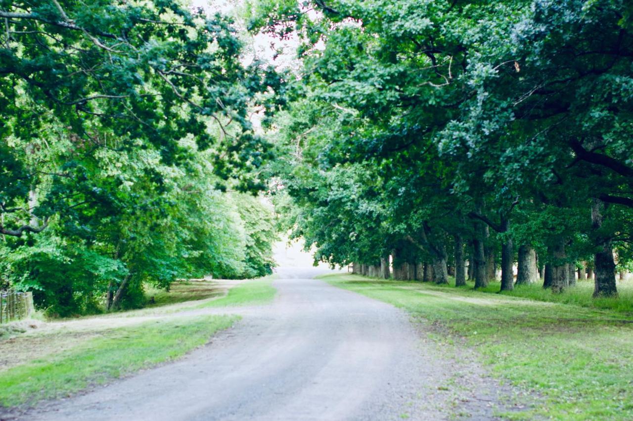 Wallingford Homestead エクステリア 写真