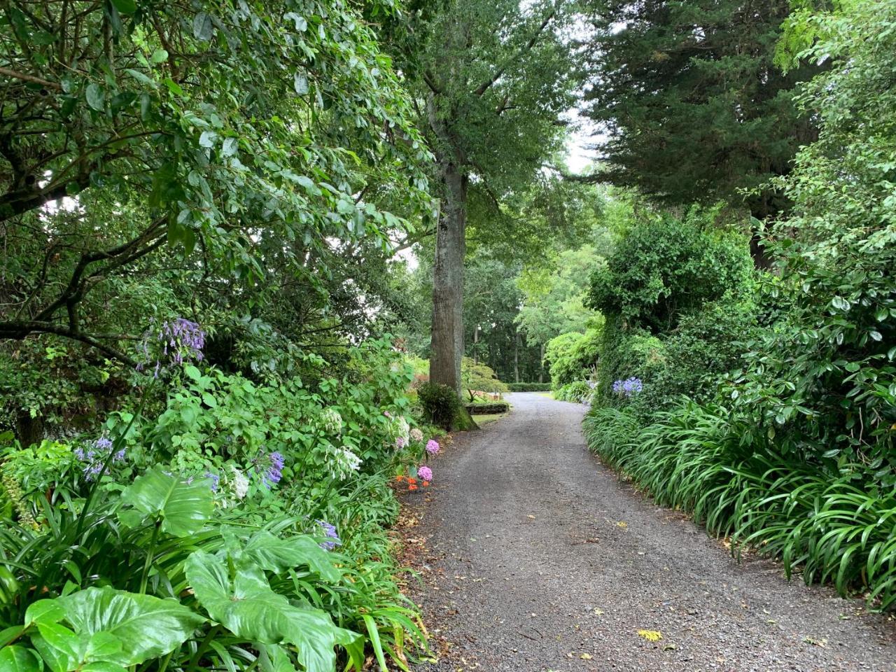 Wallingford Homestead エクステリア 写真