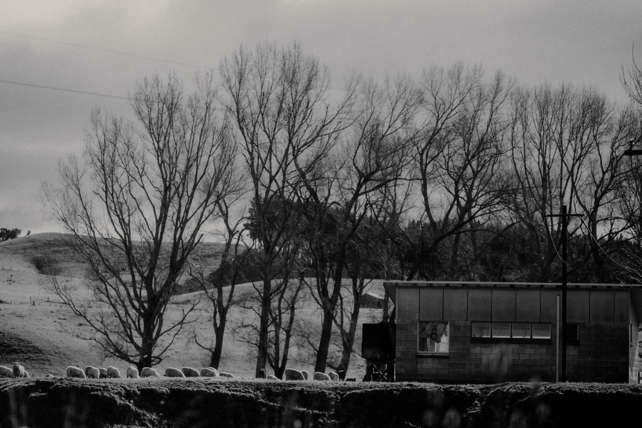 Wallingford Homestead エクステリア 写真