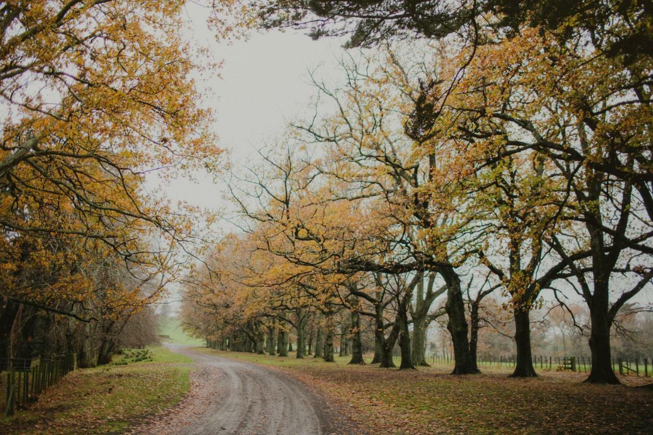 Wallingford Homestead エクステリア 写真