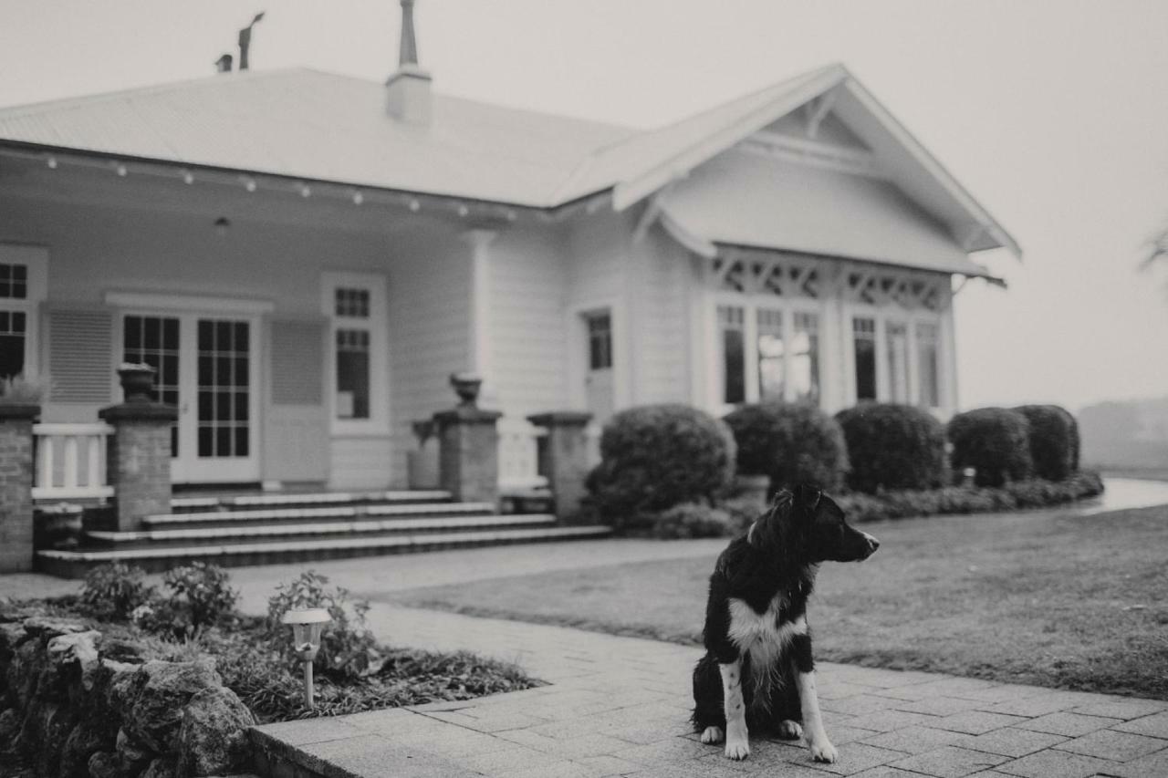 Wallingford Homestead エクステリア 写真