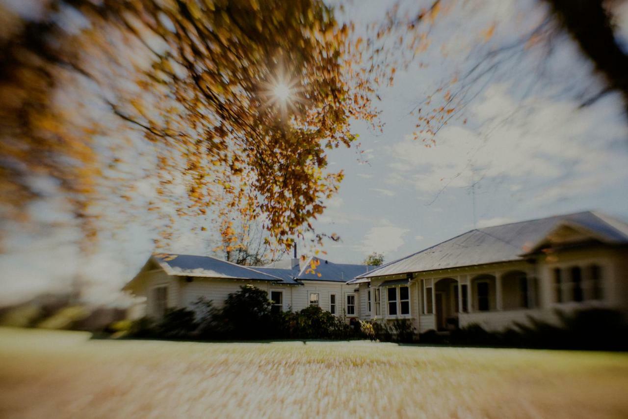 Wallingford Homestead エクステリア 写真