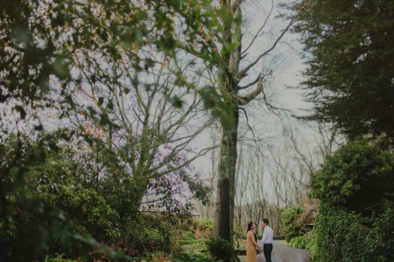 Wallingford Homestead エクステリア 写真